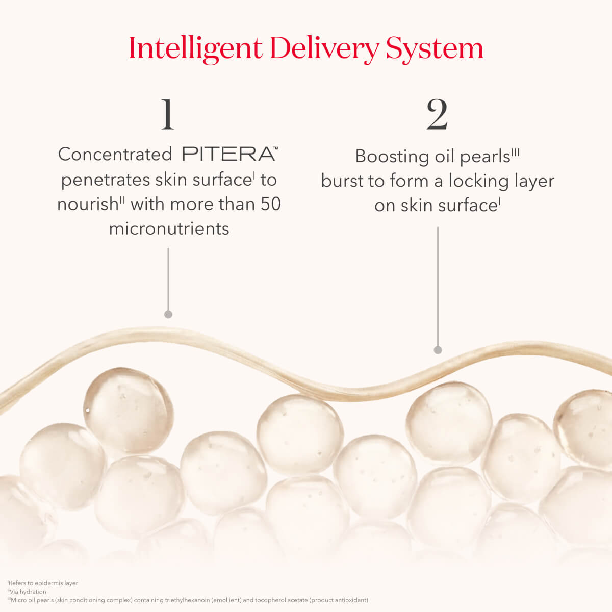 PITERA™ Essential Duo - Image 10